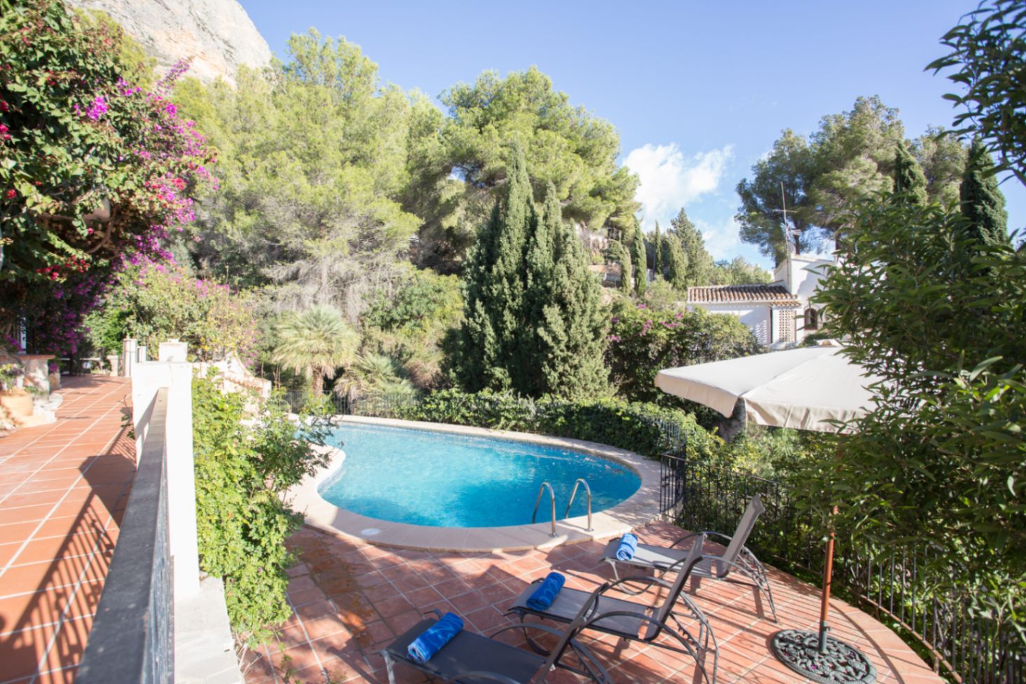Piscine extérieure en forme de rein entourée d'une terrasse en terre cuite, avec des chaises longues et une végétation méditerranéenne luxuriante de pins et de cyprès.
