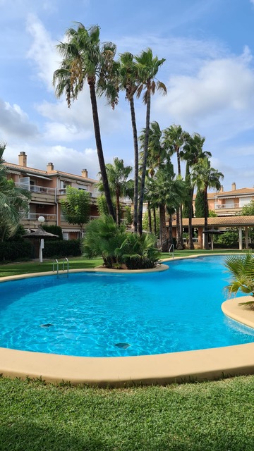 Grande piscine commune aux formes arrondies, entourée d'une pelouse soignée et de hauts palmiers. En arrière-plan, des résidences avec balcons et terrasses sous un ciel bleu.
