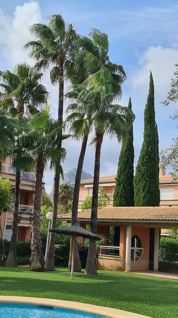 Jardin paysager avec palmiers, cyprès et parasol en chaume sur une pelouse entretenue, offrant une vue sur la montagne derrière les bâtiments résidentiels.