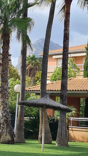 Vue sur les jardins paysagers avec de grands palmiers, un parasol en chaume et une architecture méditerranéenne sur fond de montagne.