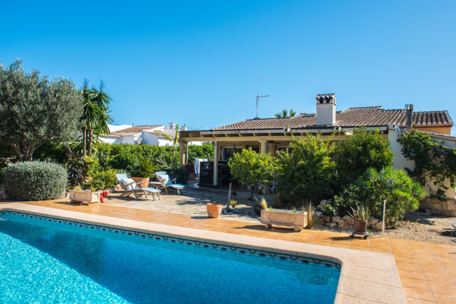 Piscine extérieure carrelée de bleu, terrasse en terre cuite avec chaises longues, végétation méditerranéenne et porche couvert avec poutres en bois apparentes.