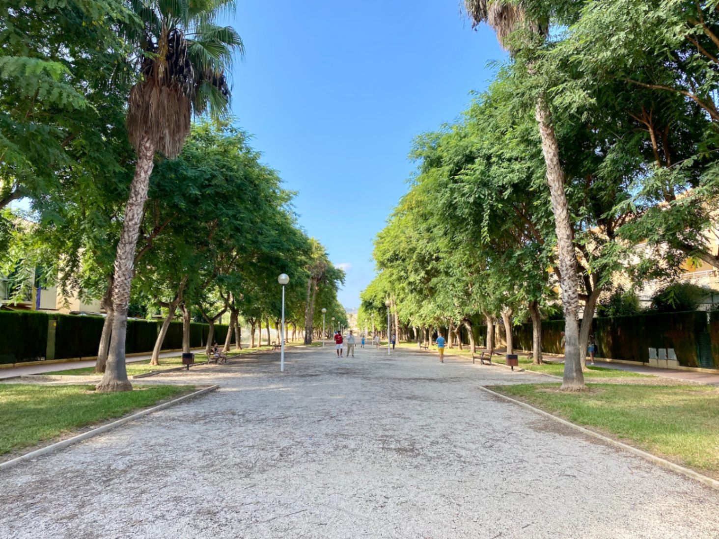 Large promenade piétonne bordée de palmiers et d'arbres matures, offrant un chemin en gravier avec éclairage public et bancs sous un ciel dégagé.