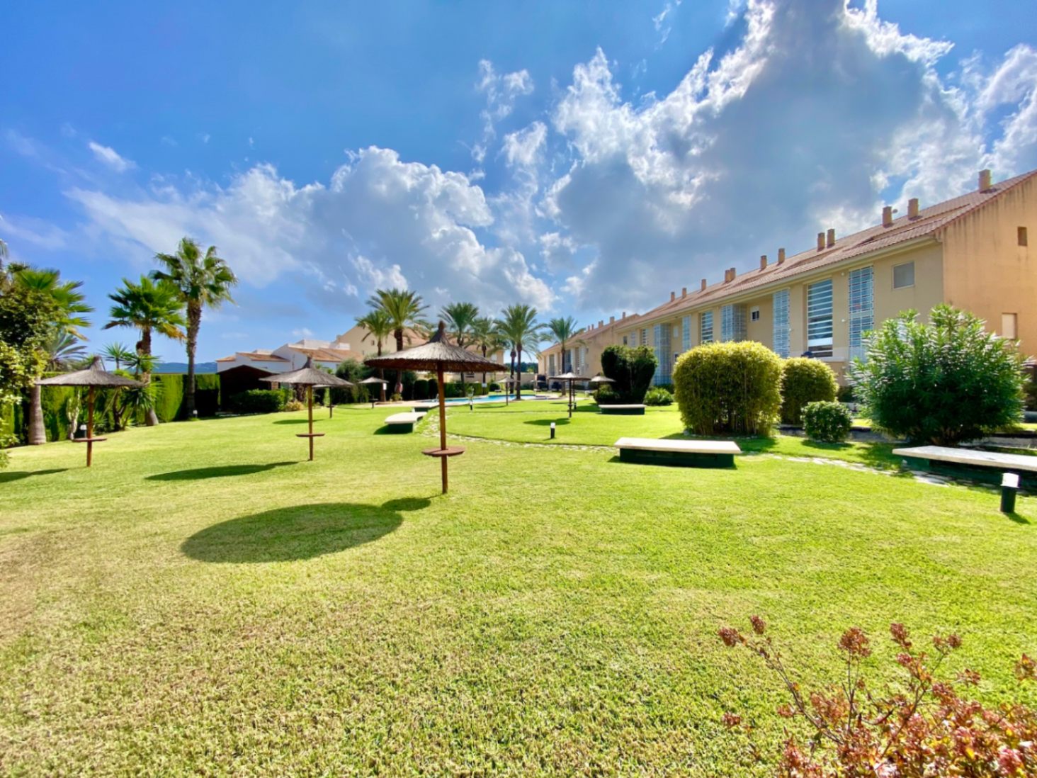 Vaste pelouse entretenue avec parasols en chaume et bancs en pierre, bordée de palmiers et de bâtiments résidentiels sous un ciel lumineux.