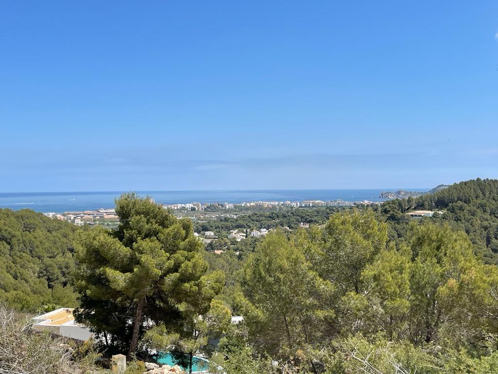 Vue panoramique surélevée surplombant une forêt de pins dense vers la côte méditerranéenne et la mer sous un ciel bleu clair.