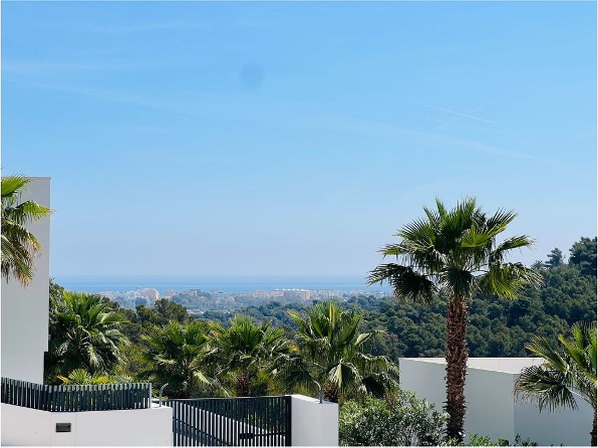 Vue panoramique depuis la propriété sur les palmiers et la forêt de pins, avec le littoral et la mer Méditerranée à l'horizon.