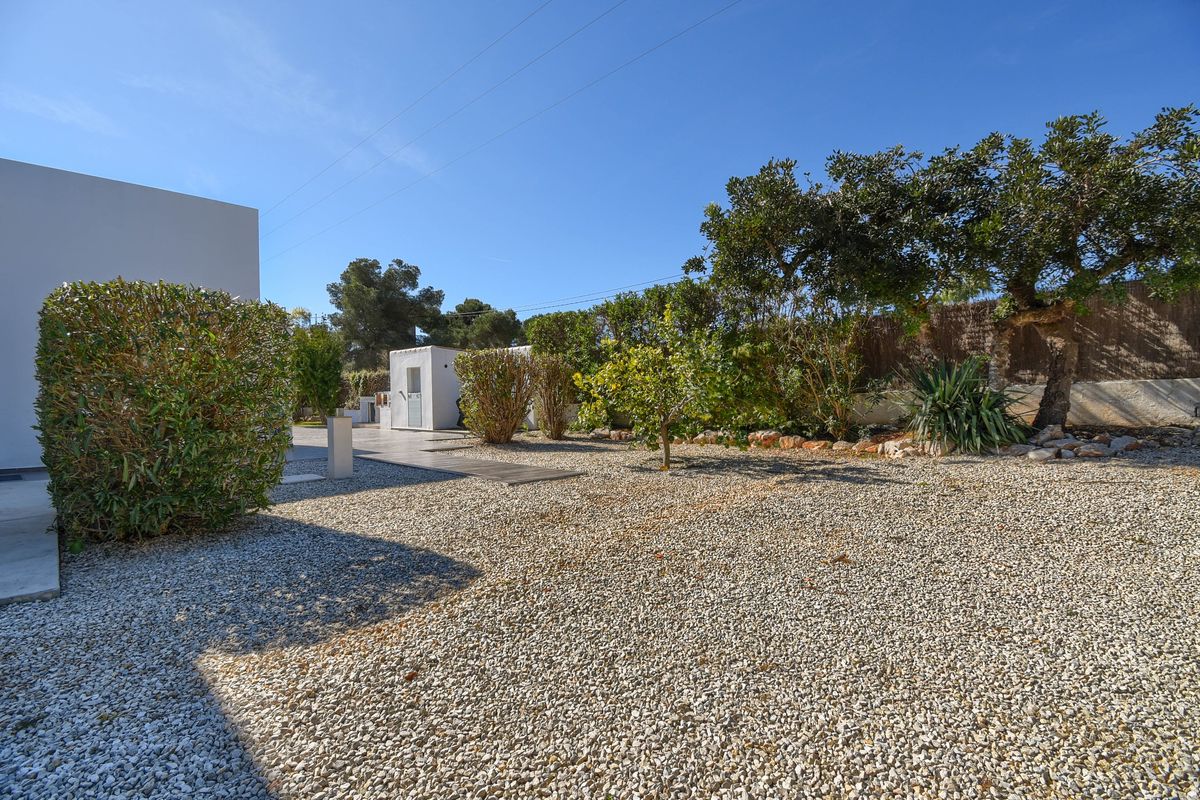 Jardin paysager avec sol en gravier clair, chemin en bois et végétation méditerranéenne comprenant des agrumes et des arbustes matures sous un ciel dégagé.