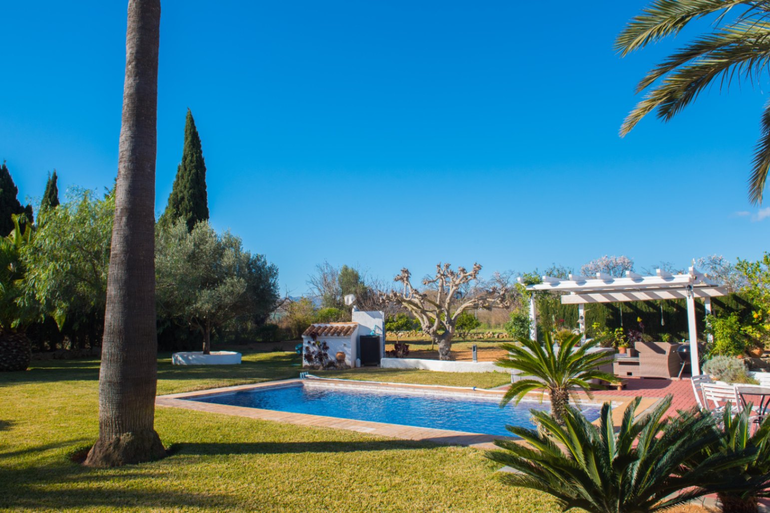 Piscine extérieure entourée d'une pelouse soignée, comprenant une pergola blanche, des palmiers et une végétation méditerranéenne.