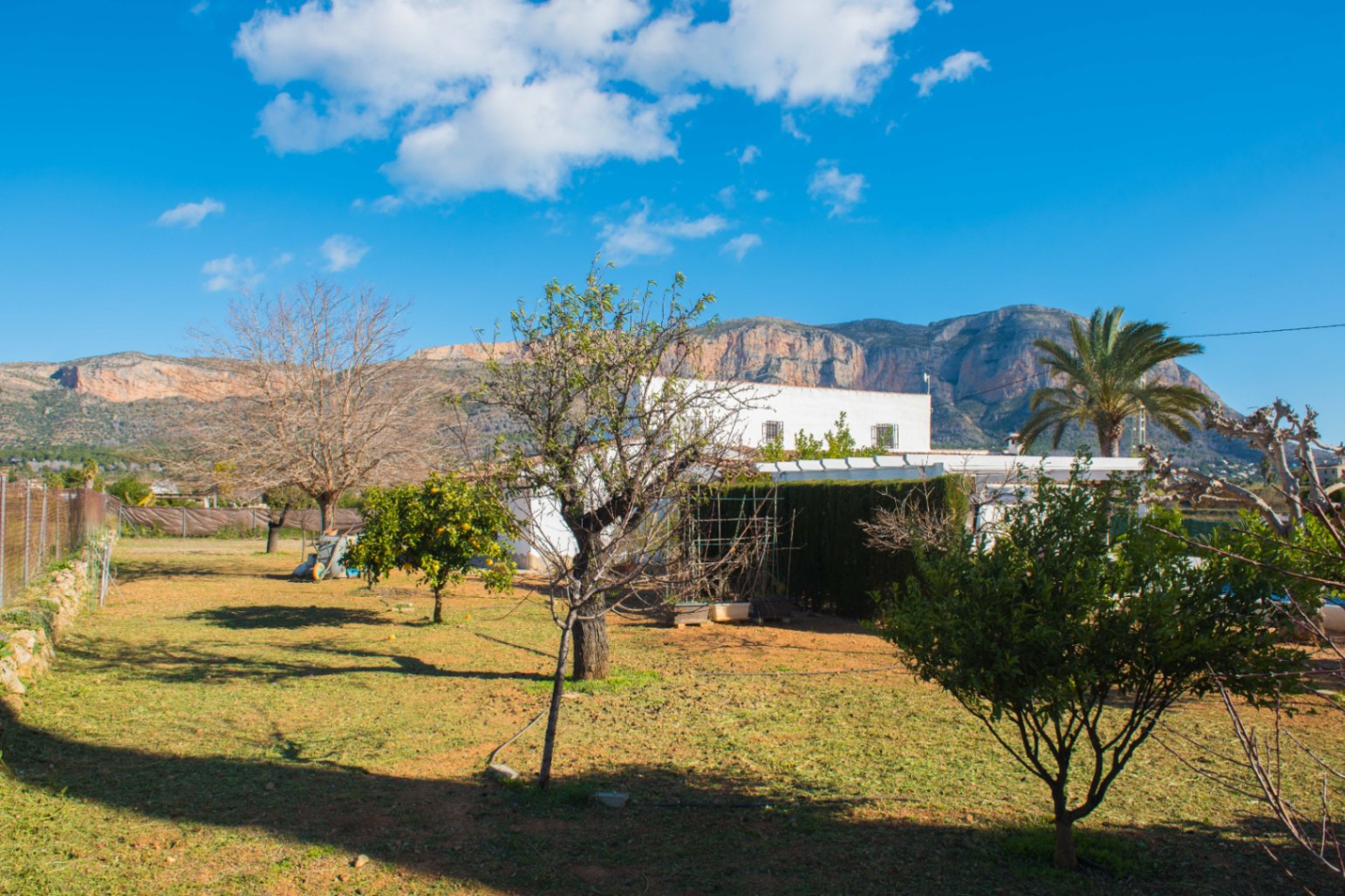Vue extérieure de la villa blanche disposant d'un vaste jardin avec arbres fruitiers et palmier, sur fond de massif montagneux du Montgó.