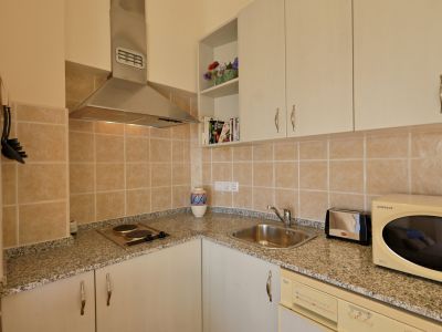 Cuisine compacte dotée d'un plan de travail effet granit, d'une crédence carrelée beige et d'appareils essentiels comme la plaque de cuisson et l'évier.