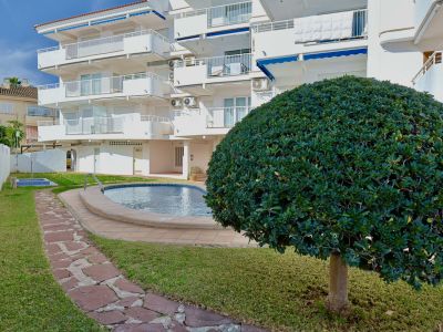 Vue extérieure de l'immeuble d'appartements avec piscine commune, entourée d'une pelouse verte et d'un chemin de pierre sinueux. Un arbuste topiaire sphérique agrémente le jardin.