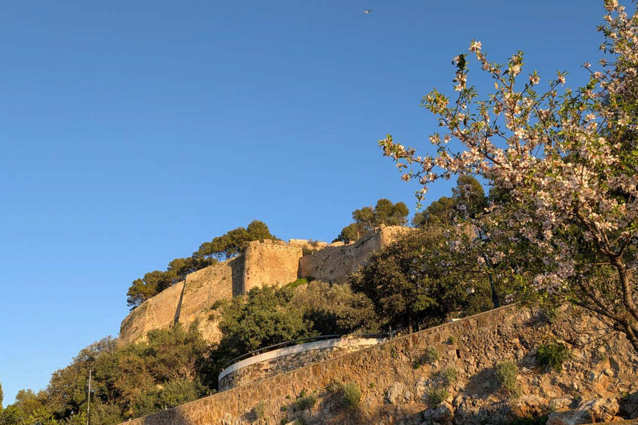 Vue des remparts en pierre de la forteresse historique sous un ciel bleu, encadrée par des amandiers en fleurs et une végétation méditerranéenne.