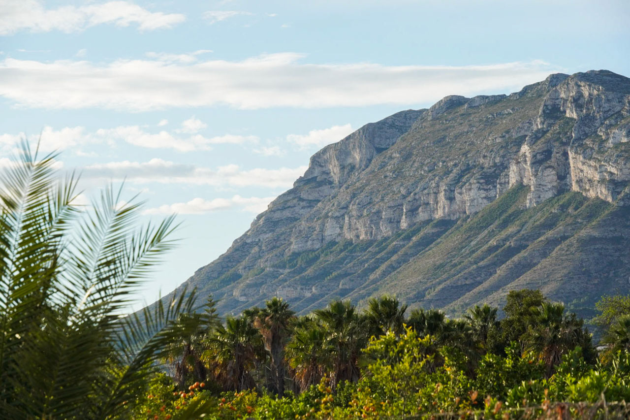 Vue panoramique sur les falaises calcaires du mont Montgó, bordées de palmiers méditerranéens et de vergers d'agrumes verdoyants.