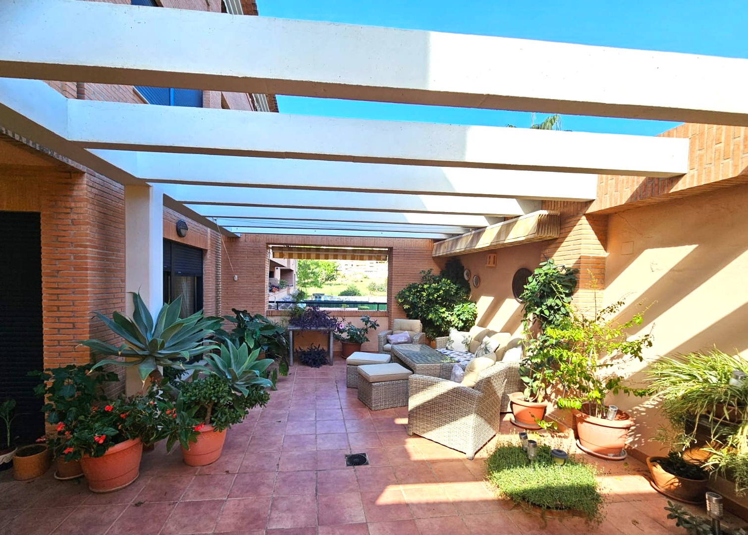 Grande terrasse avec sol en terre cuite, poutres de pergola blanches et salon de jardin en rotin entouré de plantes méditerranéennes en pots.