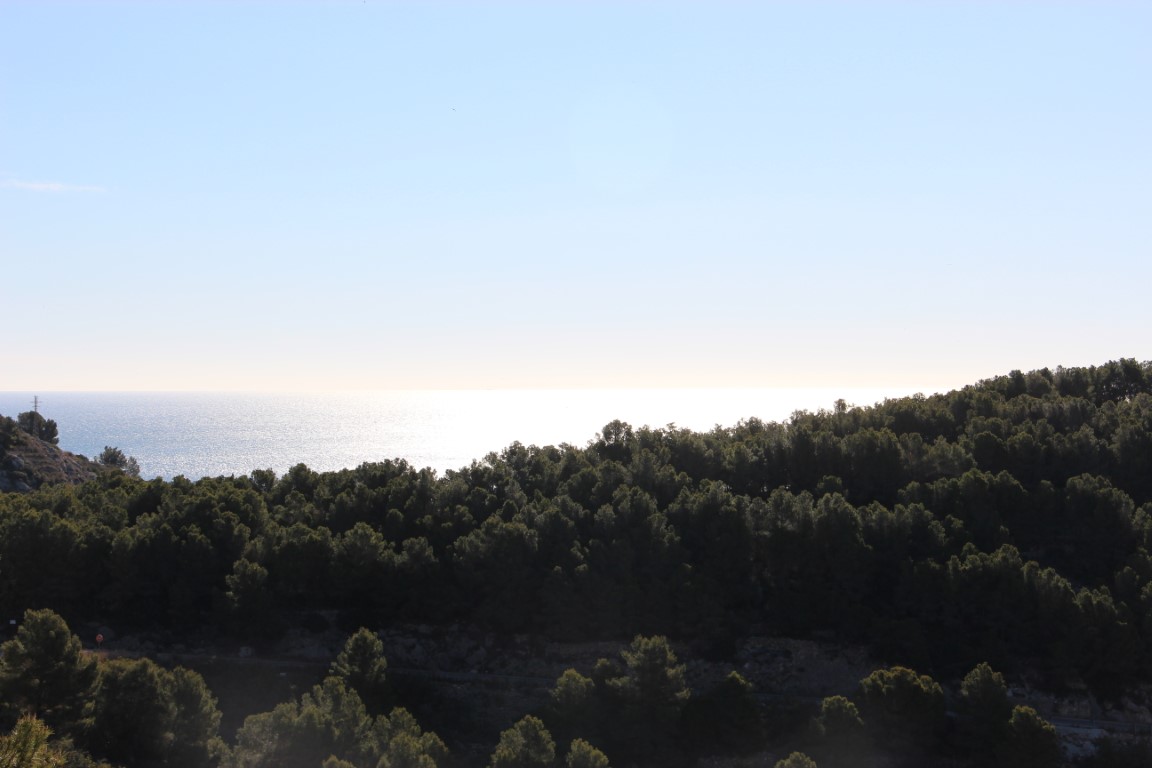 Vue panoramique surélevée sur une forêt de pins méditerranéens avec la mer à l'horizon et les reflets du soleil sur l'eau.