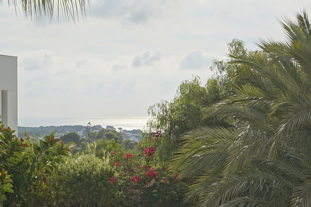 Vue panoramique sur la mer Méditerranée encadrée par des palmiers et des bougainvilliers en fleurs depuis un point de vue surélevé.