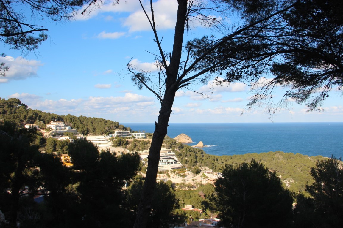 Vue surélevée sur la mer Méditerranée et le littoral de Jávea, encadrée par des pins sylvestres avec une perspective sur les résidences de luxe.
