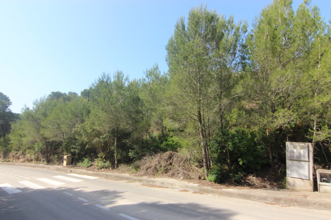 Vue de la route d'accès goudronnée avec trottoirs, passages piétons et raccordements techniques, bordée par une forêt de pins à Jávea.