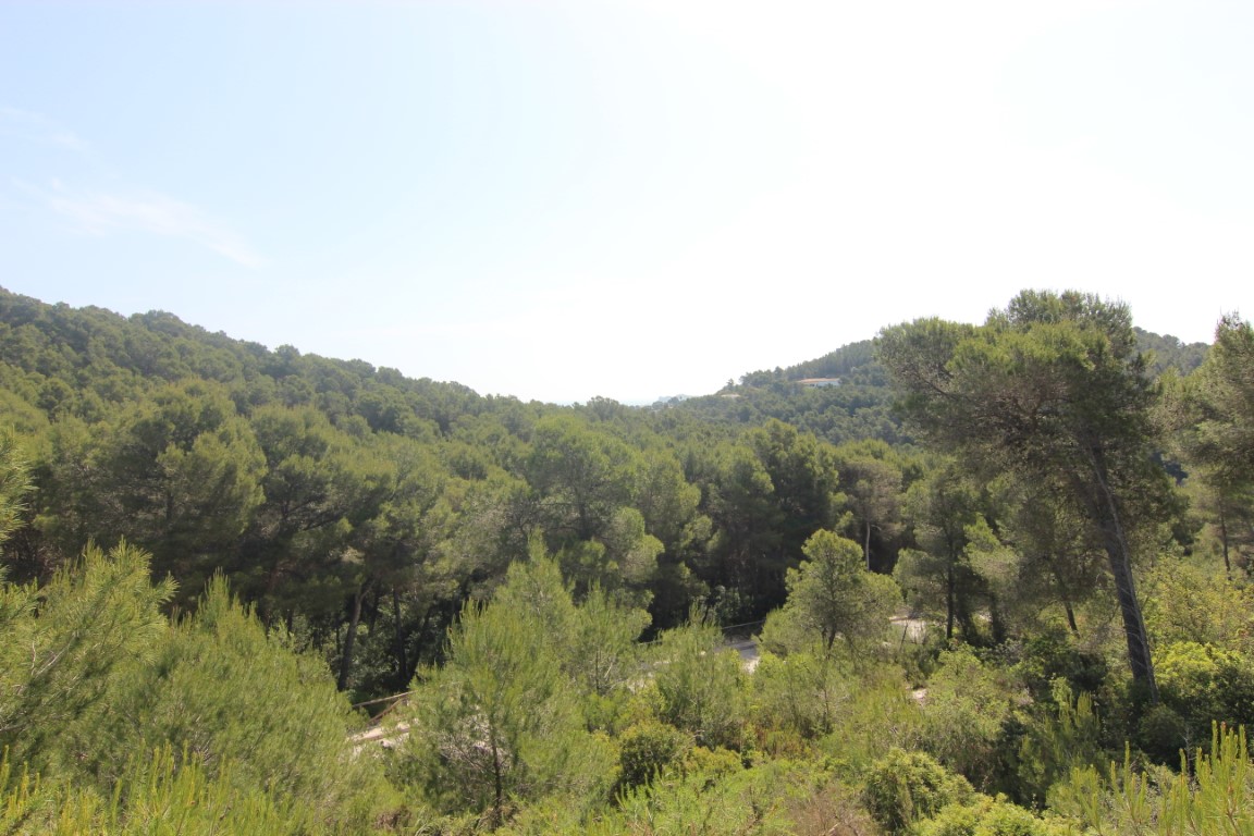 Vues panoramiques sur les collines boisées de pins méditerranéens depuis les parcelles à Jávea. Un environnement naturel préservé et dégagé.