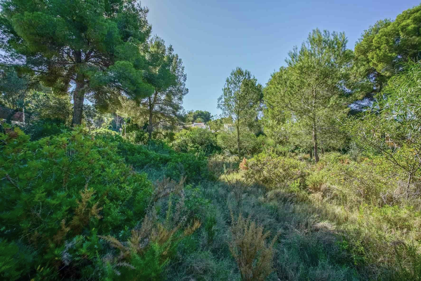 Terrain de 2700 m2 arboré de pins matures et de végétation méditerranéenne dense, situé dans un environnement calme et naturel à Jávea.