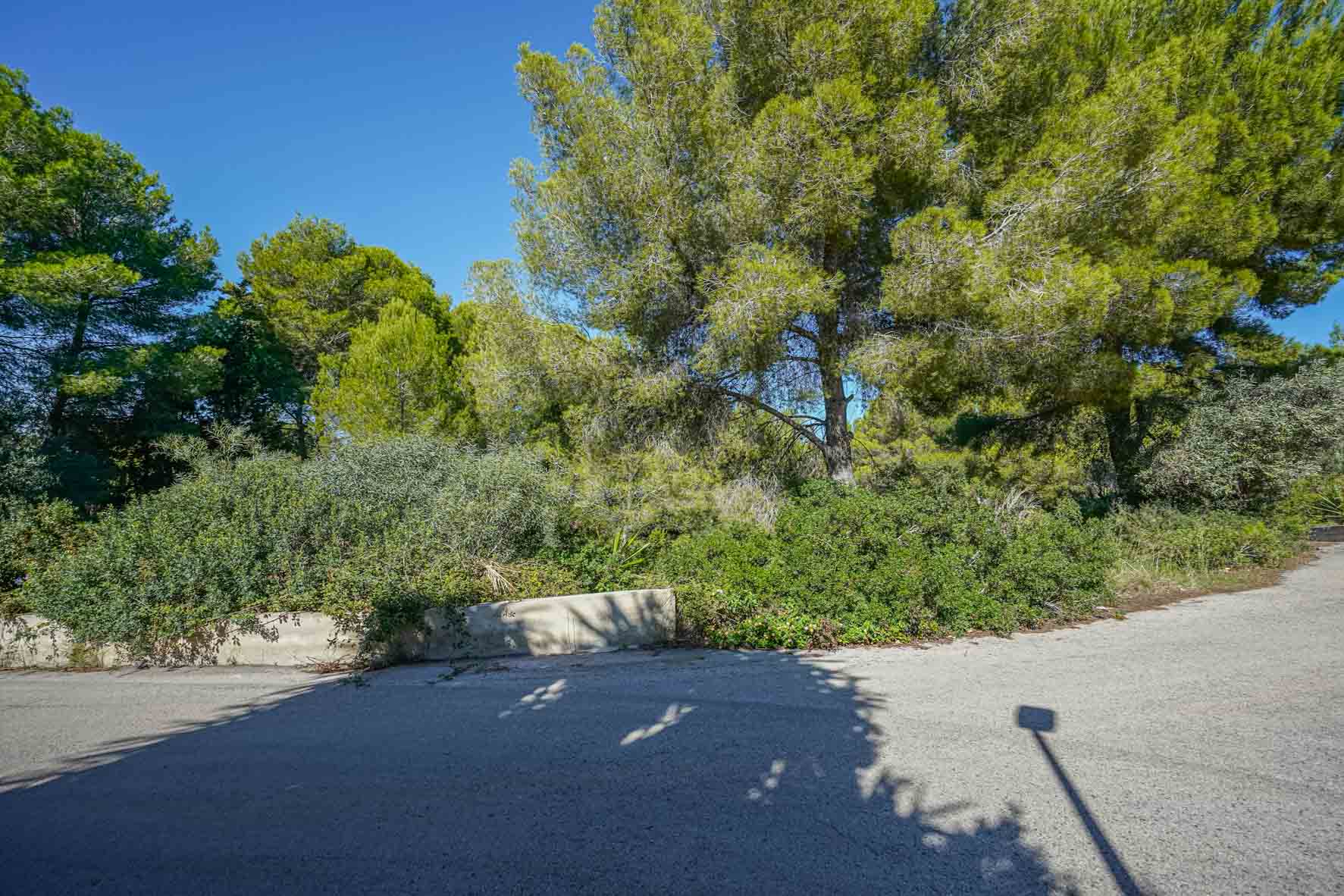 Vue d'un terrain d'angle avec des pins matures et une végétation méditerranéenne dense, bordé par un muret en béton le long d'une rue pavée calme.