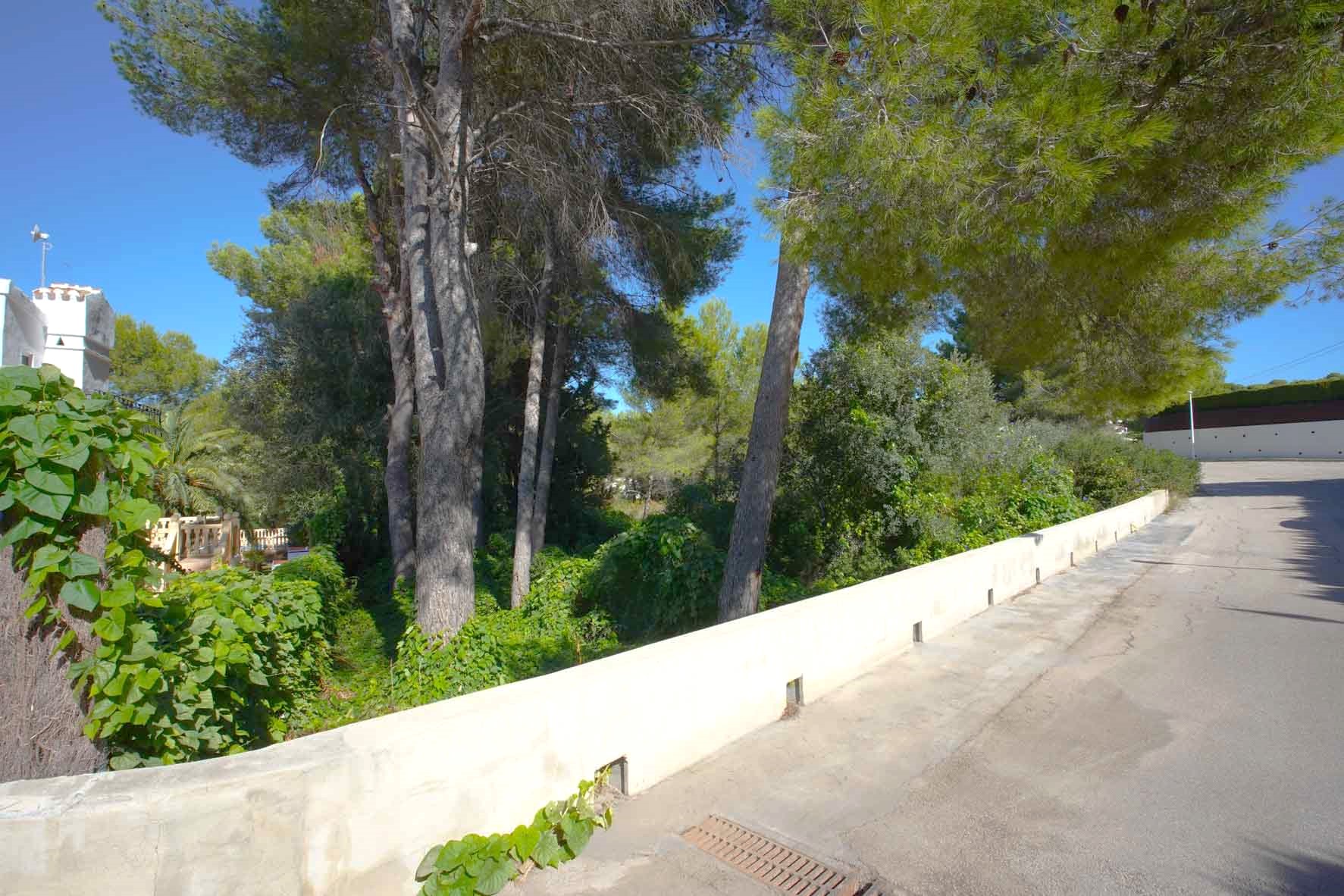 Vue extérieure du terrain d'angle avec des pins matures et une végétation dense, délimité par un muret blanc le long d'une rue pavée calme.