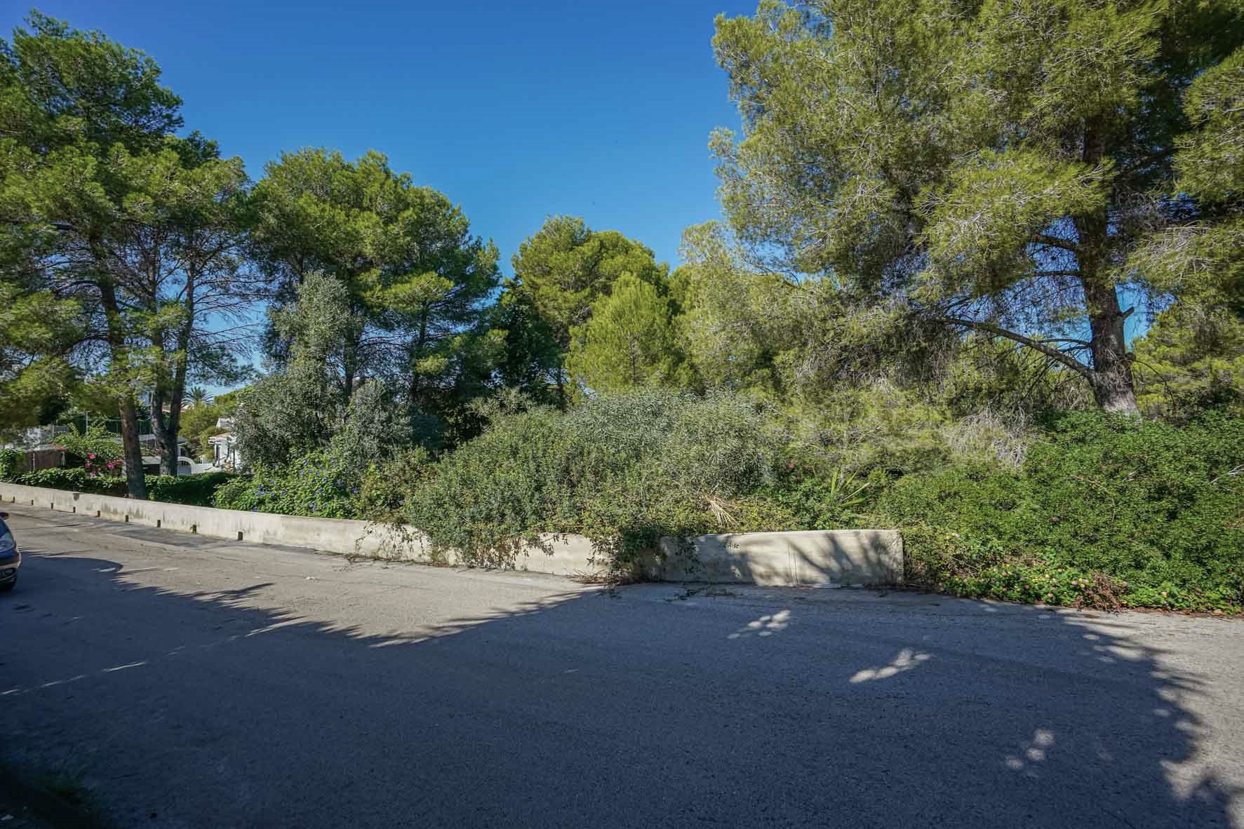 Vue extérieure du terrain d'angle avec un mur de soutènement en béton, bordé de pins matures et d'une végétation méditerranéenne dense sous un ciel bleu.