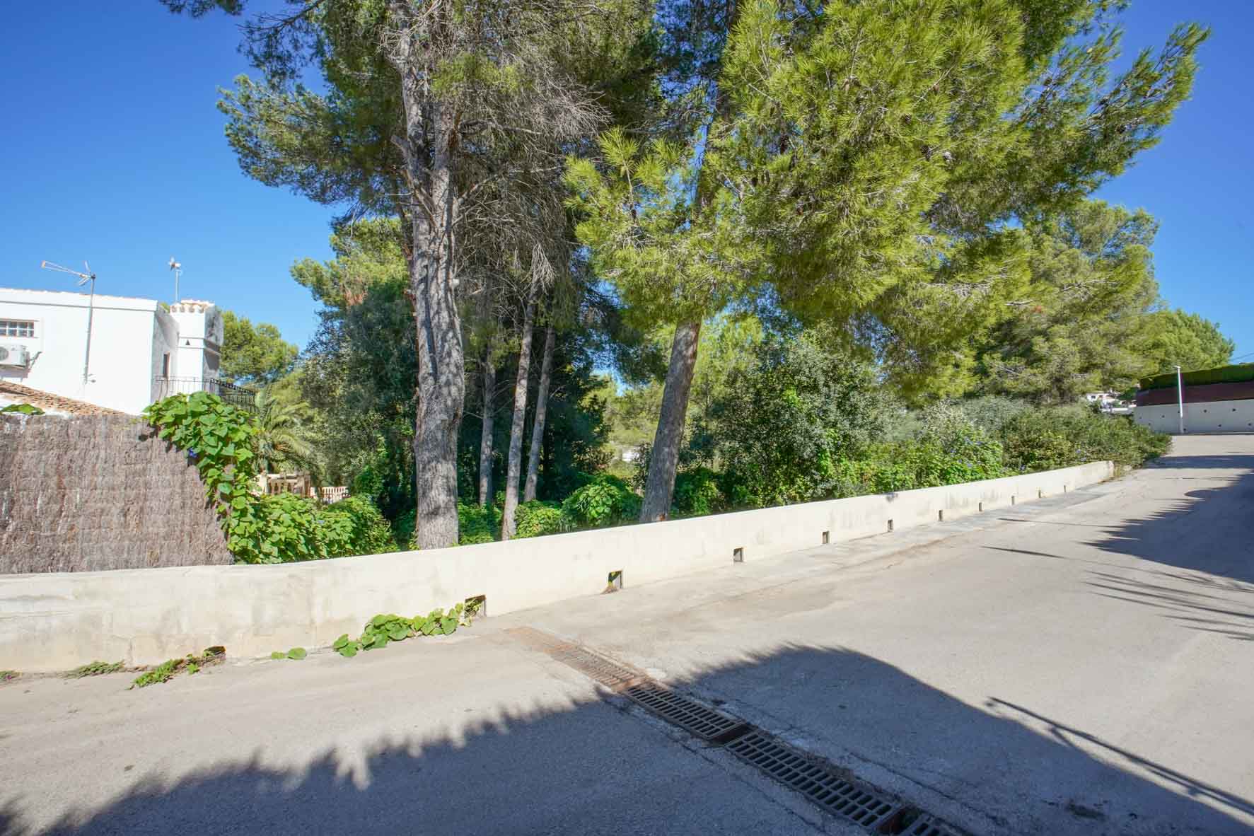 Vue extérieure du terrain depuis la rue asphaltée, montrant le mur de soutènement périphérique et des pins matures sous un ciel dégagé.