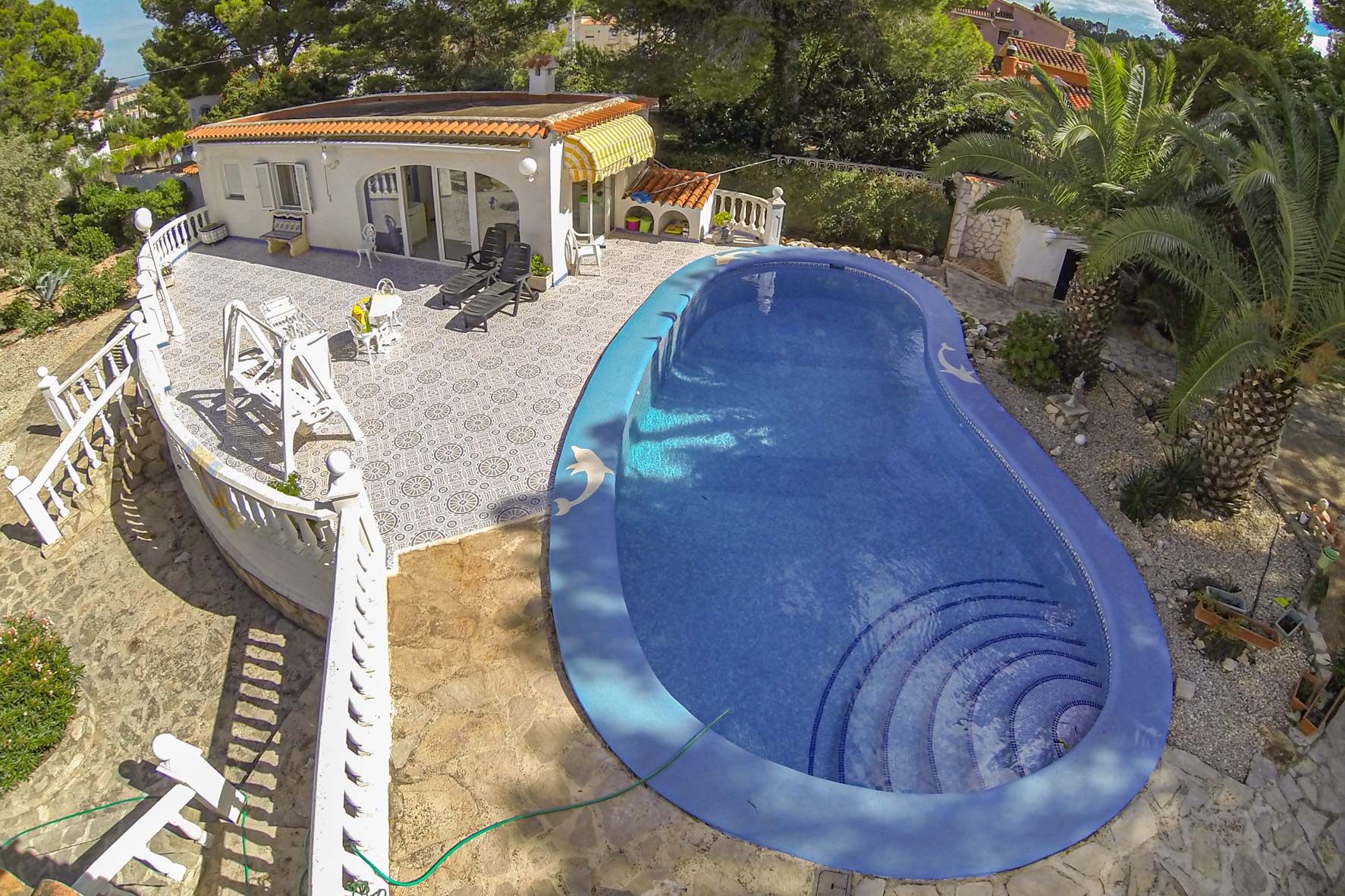 Vue aérienne de la piscine bleue à motif de dauphin, entourée de terrasses à motifs et de jardins soignés.
