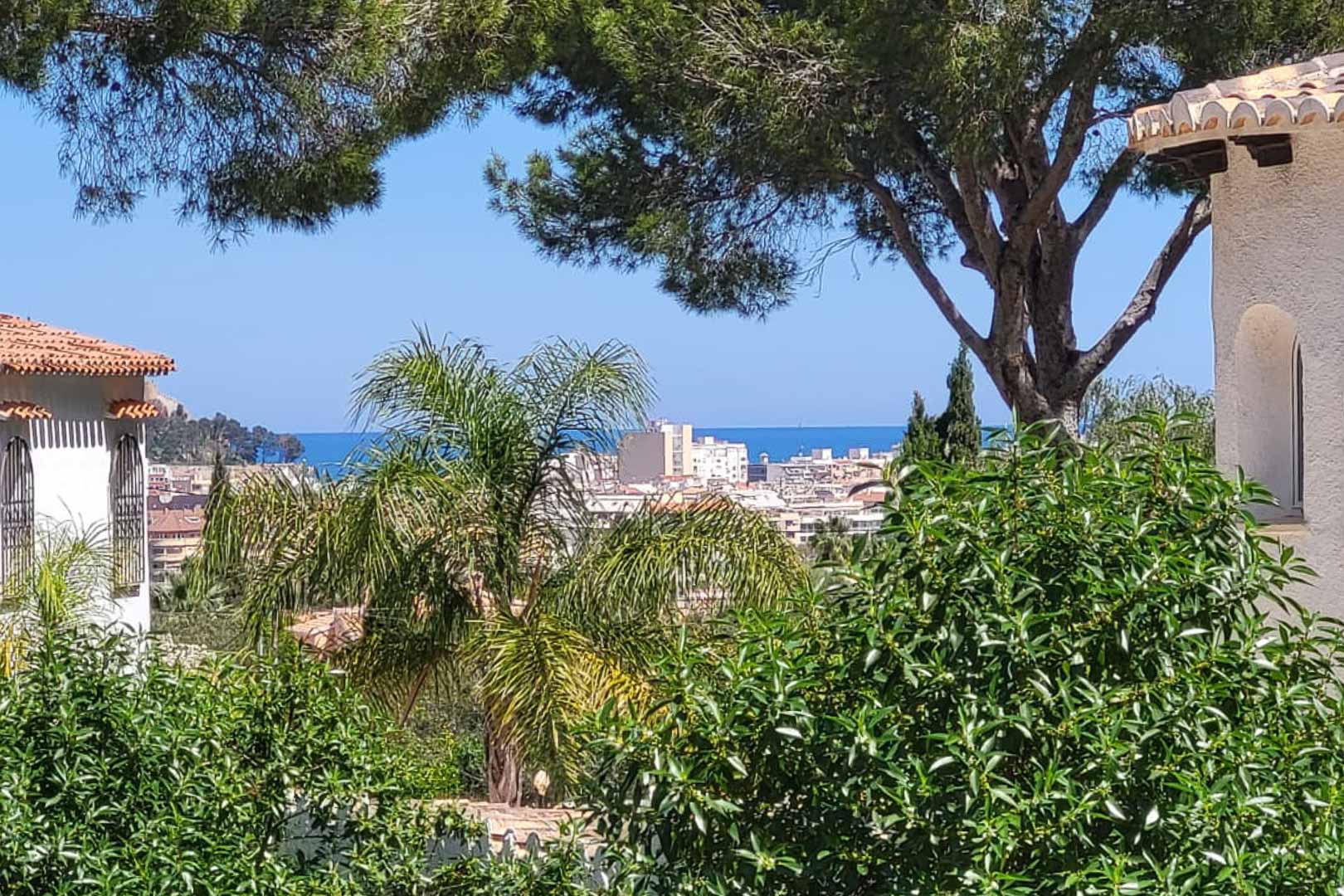 Vue panoramique de Denia depuis la villa, avec une végétation luxuriante et la mer Méditerranée en arrière-plan.
