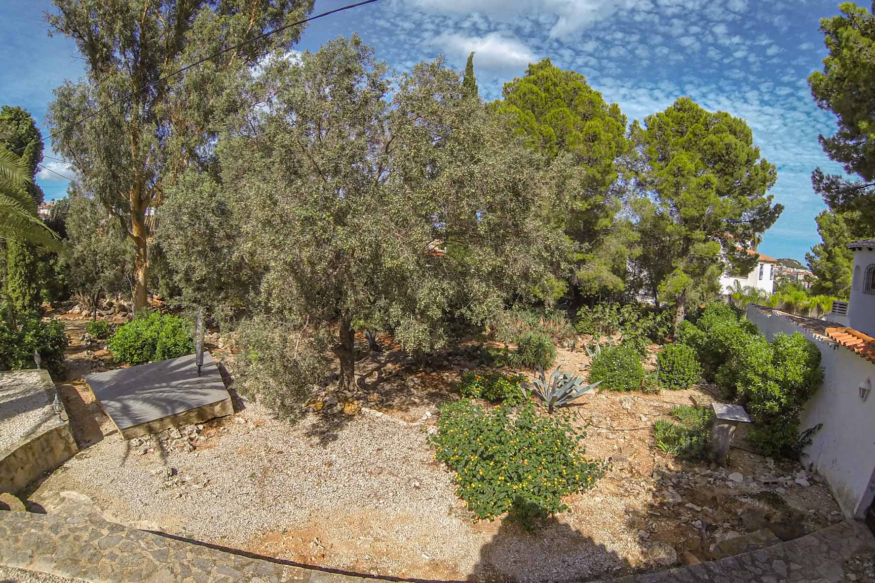 Vue sur le jardin méditerranéen avec des arbres matures et une végétation variée, sur un terrain privé.