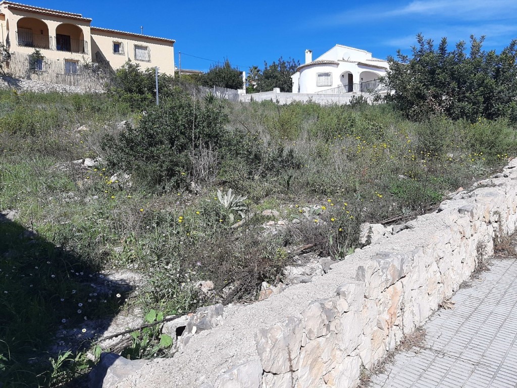 Terrain en pente avec végétation méditerranéenne et muret en pierre naturelle, situé dans un quartier résidentiel calme d'Alcalalí sous un ciel dégagé.