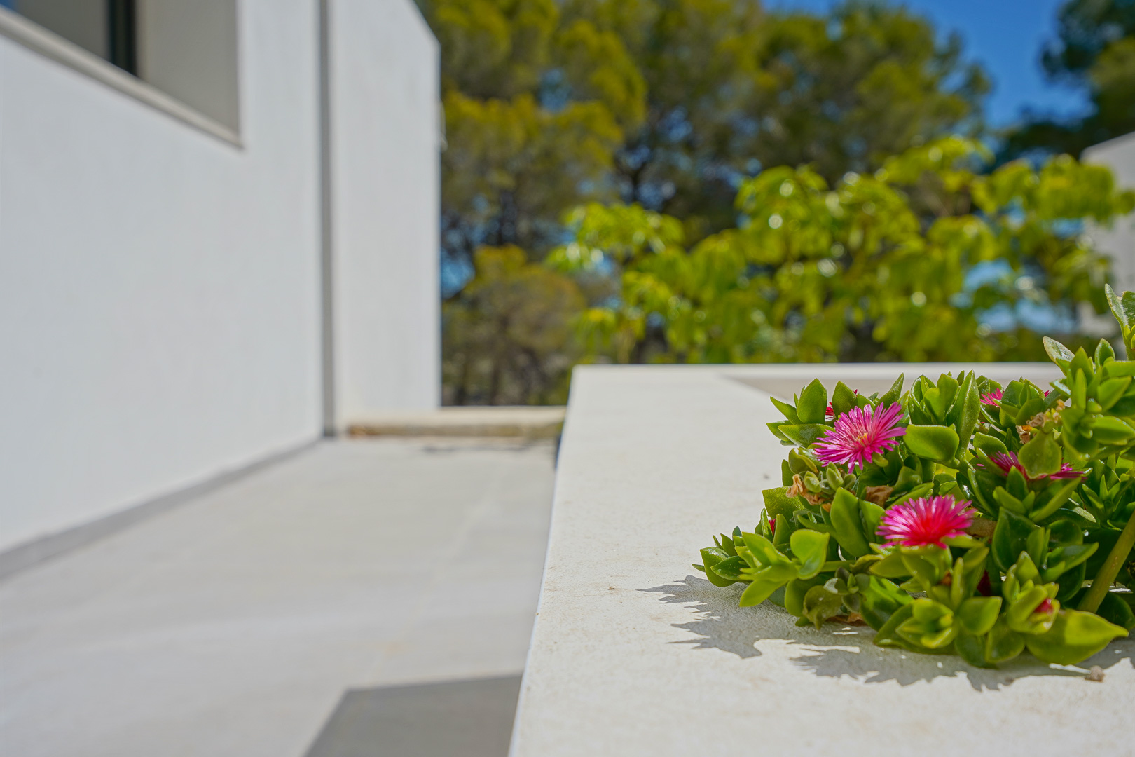 Détail d'une jardinière intégrée en pierre blanche avec des succulentes fleuries, bordant la façade épurée de la villa.