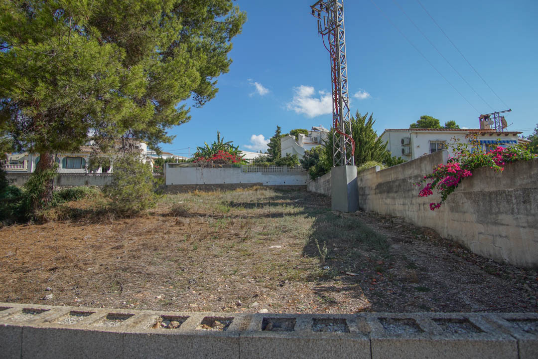 Terrain extérieur dégagé avec murs d'enceinte en béton, un pin mature et des bougainvilliers, offrant un espace de stationnement à l'avant de la villa.