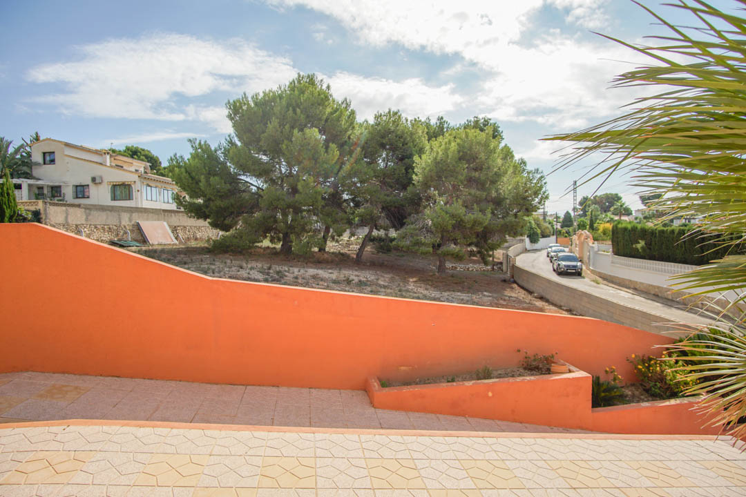 Vue depuis la terrasse pavée présentant le mur d'enceinte de couleur terre cuite et les pins matures bordant la rue résidentielle.
