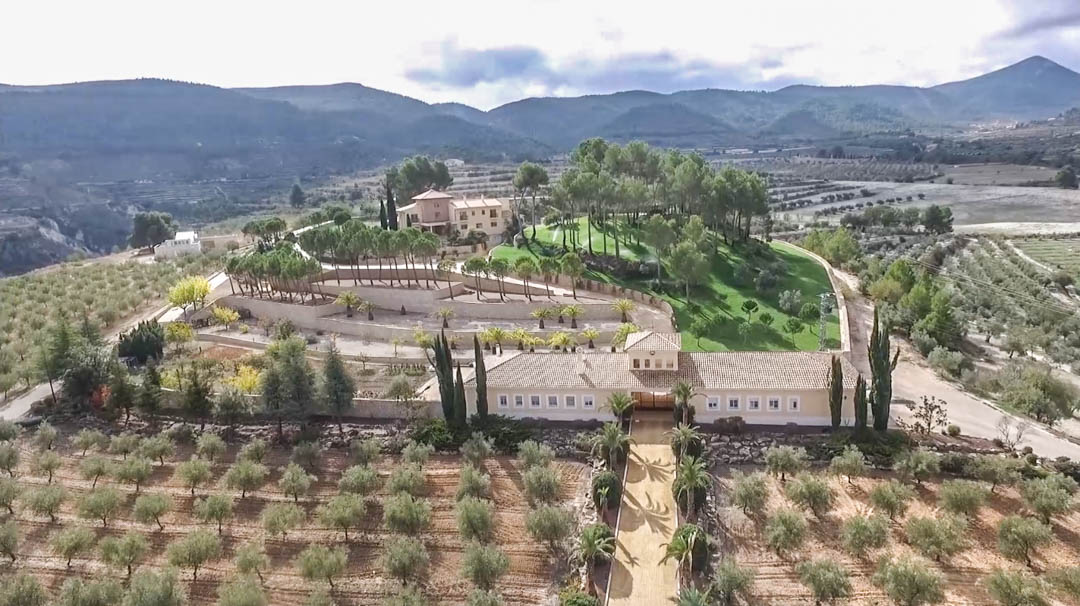Vue aérienne du domaine révélant l'allée de palmiers, les jardins en terrasses avec murs en pierre et la villa principale nichée au cœur des montagnes.