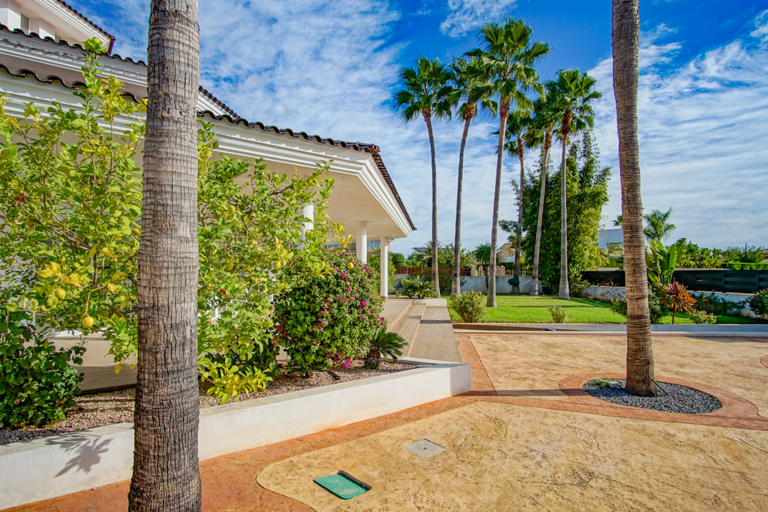 Vue extérieure de la villa coloniale avec jardin arboré, comprenant de grands palmiers, un citronnier et une allée en béton imprimé bordant la façade blanche.