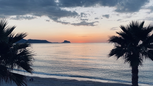 Vue panoramique sur la mer Méditerranée au coucher du soleil, encadrée par des palmiers avec la silhouette de la côte à l'horizon.