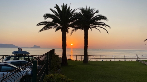 Vue panoramique sur le coucher de soleil au-dessus de la mer Méditerranée depuis le jardin, avec des palmiers matures en silhouette.
