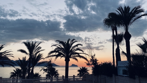 Vues panoramiques sur la mer Méditerranée au coucher du soleil, mettant en valeur les silhouettes des palmiers et la ligne d'horizon côtière sous un ciel crépusculaire.