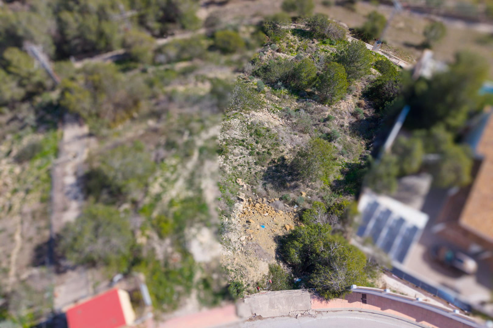 Vue aérienne de la parcelle en pente, illustrant la végétation de pins méditerranéens et le terrain rocheux naturel à Los Bancales.