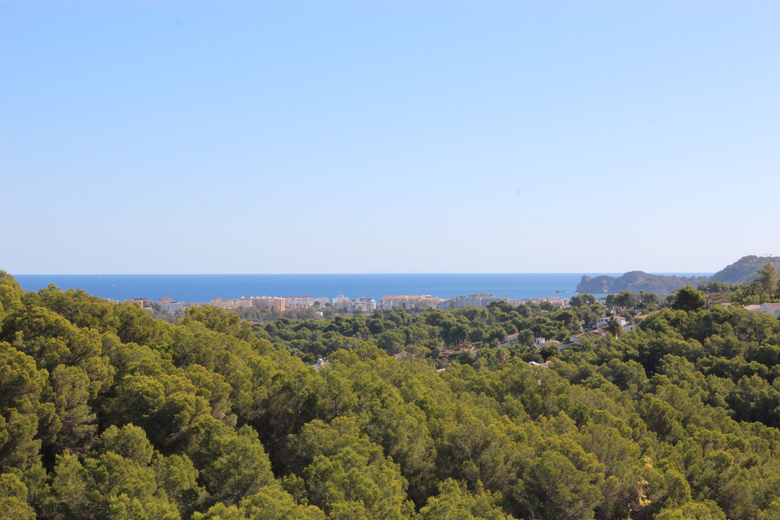 Vue panoramique sur la mer Méditerranée depuis les parcelles, avec une pinède dense au premier plan et le littoral de Javea à l'horizon sous un ciel dégagé.