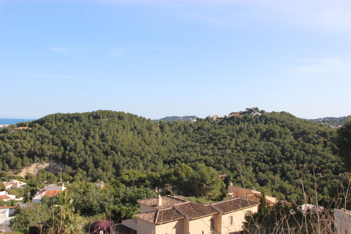 Vue panoramique surélevée sur une pinède méditerranéenne dense et l'horizon marin, avec des toits en tuiles traditionnelles au premier plan.