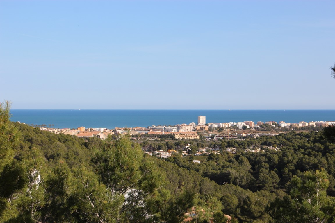 Vues panoramiques sur la mer Méditerranée et le littoral urbain depuis les parcelles en hauteur, entourées d'une forêt de pins dense sous un ciel azur dégagé.
