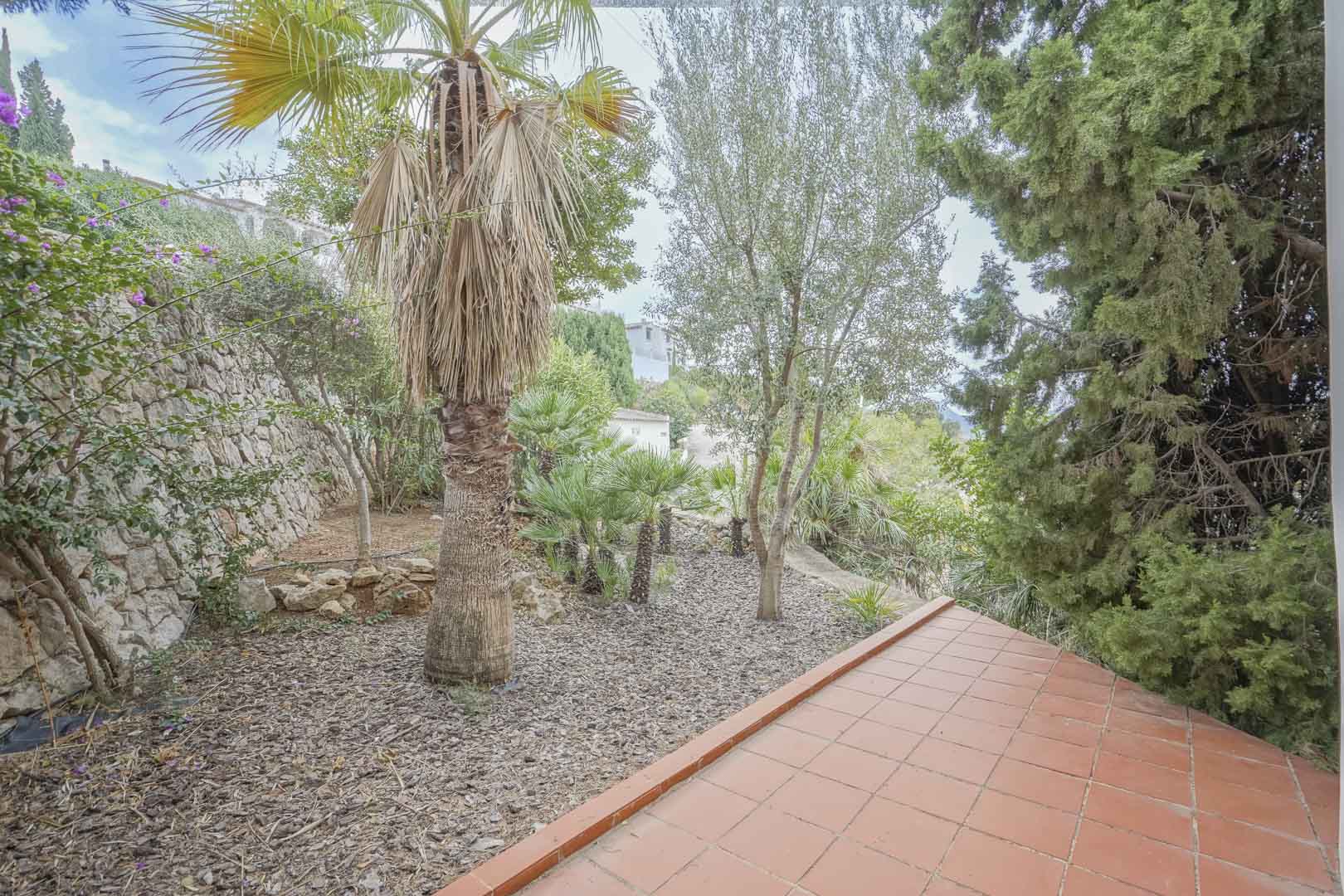 Vue sur le jardin nécessitant peu d'entretien avec arrosage automatique, depuis la terrasse couverte en terre cuite.