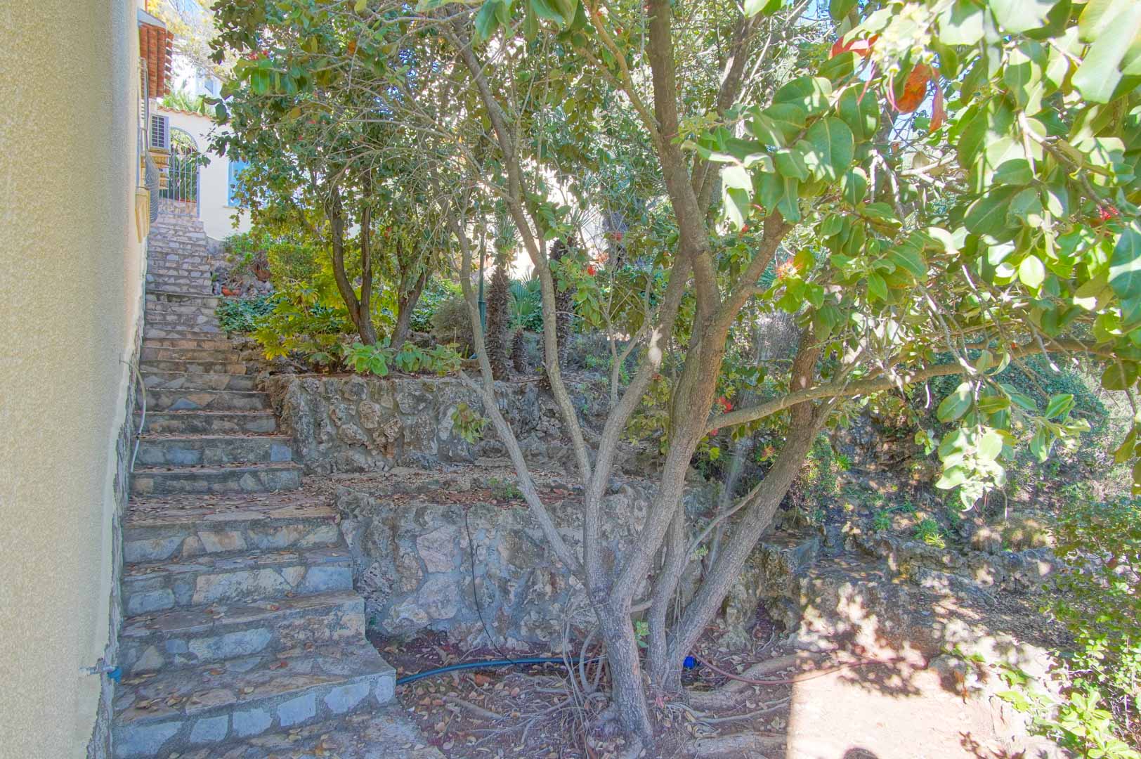 Escalier extérieur en pierre naturelle grimpant à travers un jardin en terrasses avec murets en pierre et végétation méditerranéenne dense.