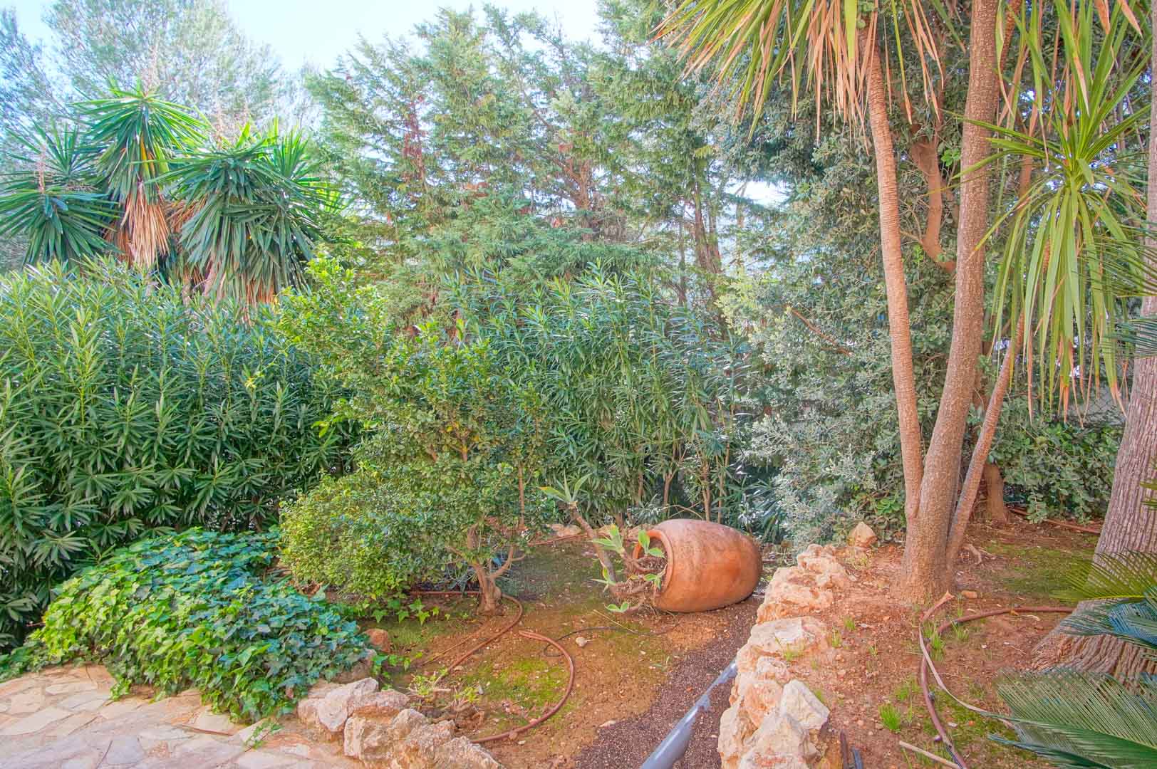 Jardin méditerranéen avec une végétation dense, des palmiers et des arbustes. Une amphore décorative en terre cuite repose près d'une bordure en pierre naturelle.