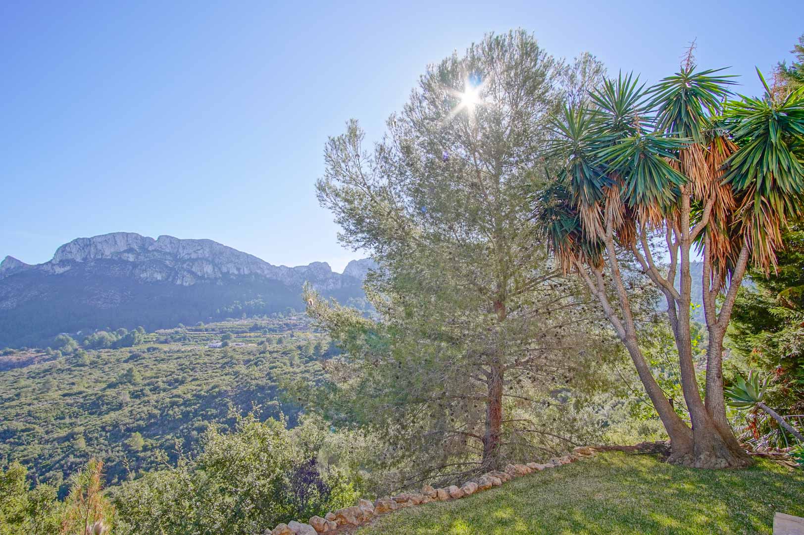 Vue panoramique sur les montagnes depuis le jardin de la propriété, avec des pins et des yuccas sous une lumière naturelle éclatante.