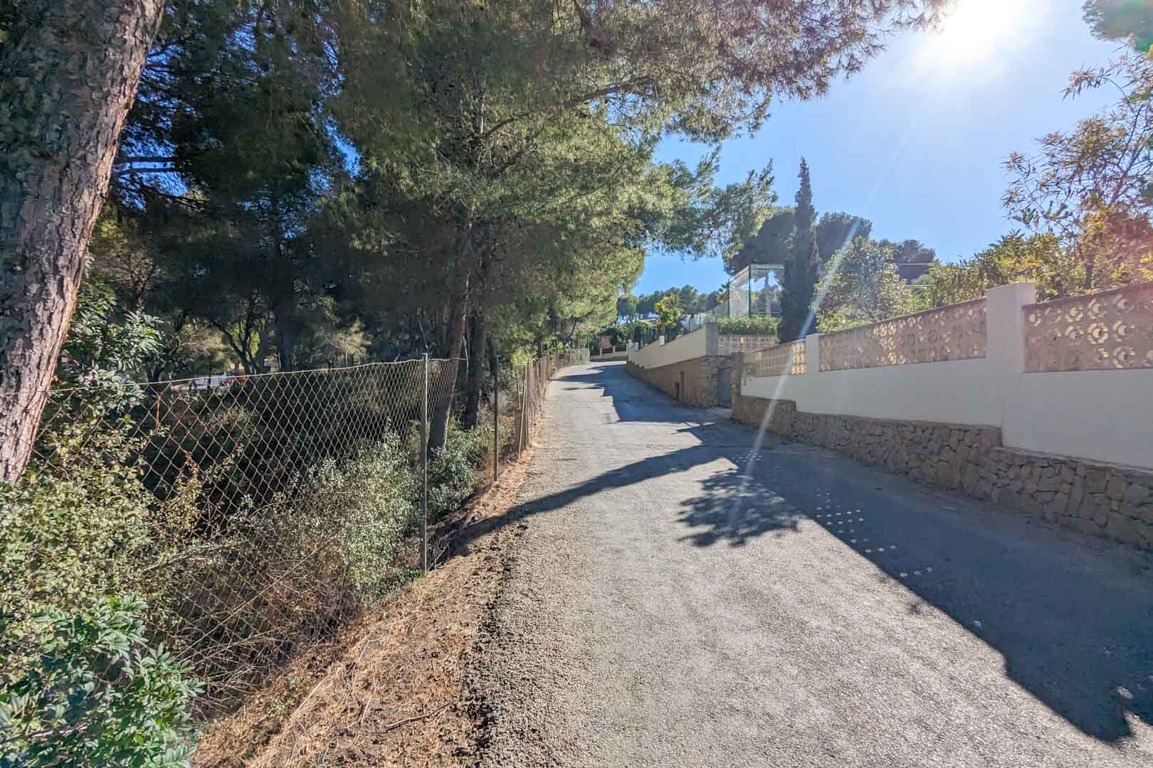Chemin d'accès goudronné bordé de pins matures et d'un mur de clôture en pierre naturelle avec des détails de treillis décoratifs.