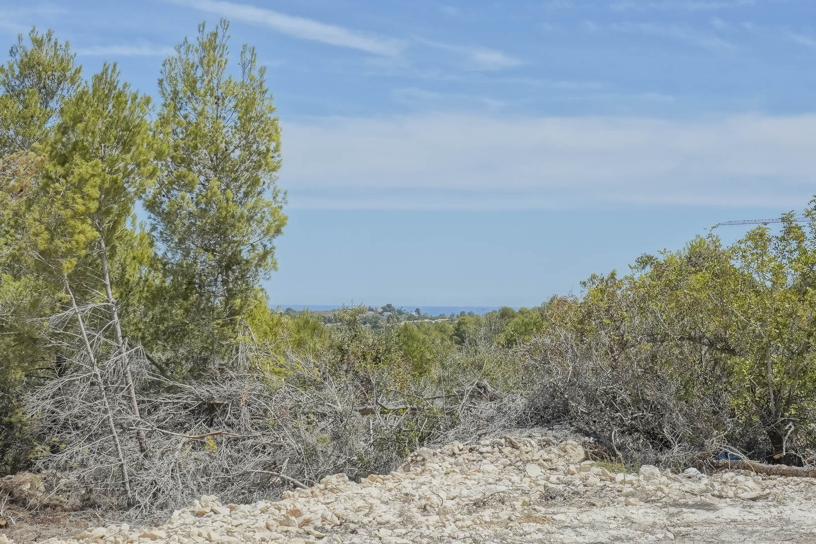 Vue panoramique depuis le terrain surélevé vers la mer Méditerranée, entourée de pins indigènes et d'une végétation naturelle sous un ciel dégagé.
