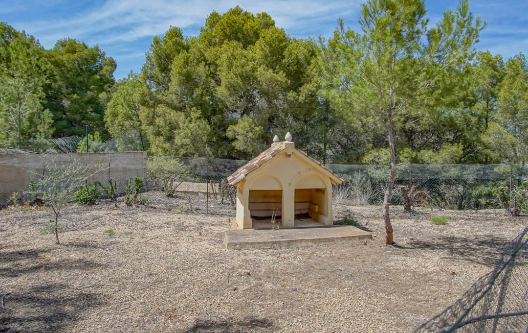Grand enclos clôturé pour chiens comprenant une niche maçonnée à double entrée et toit de tuiles, entouré de pins matures.